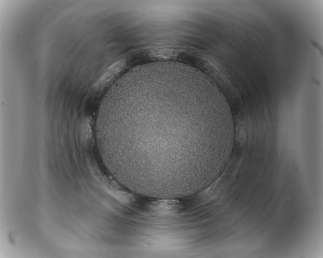 X0000102810128200808181232