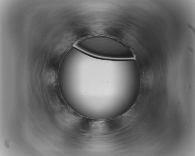 X0000102810132200808181232