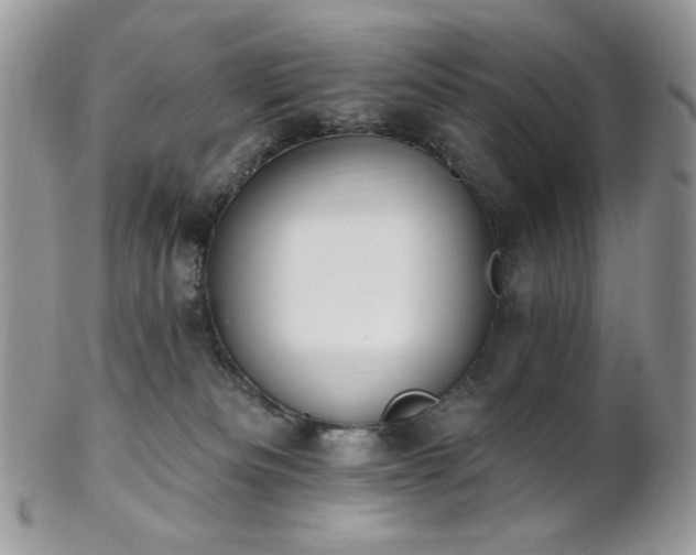 X0000102810133200808181232