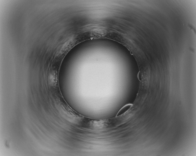 X0000102810134200808181232