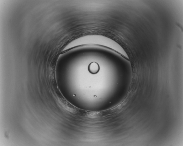 X0000102810136200808181232