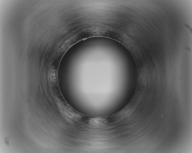 X0000102810137200808181232