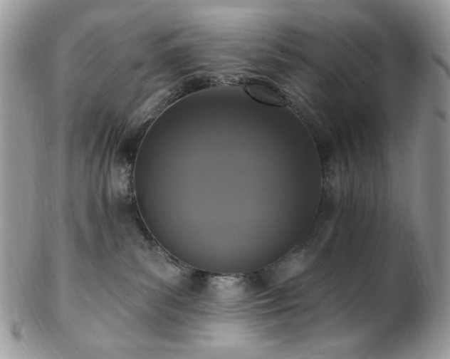 X0000102810139200808181232