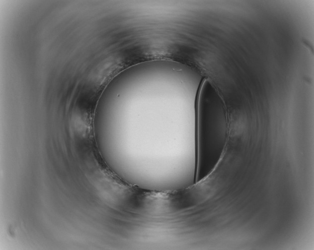 X0000102810140200808181232