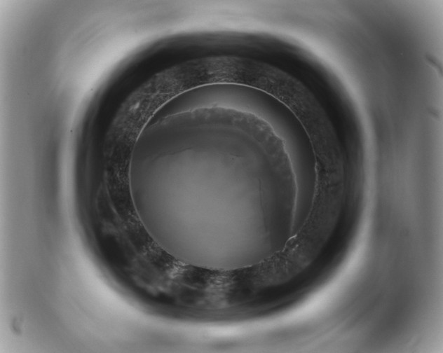 X0000102810143200808181232