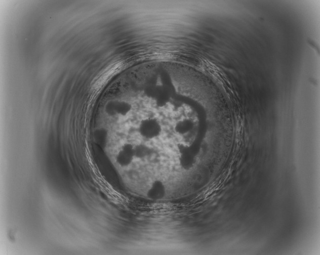 X0000102810145200808181231