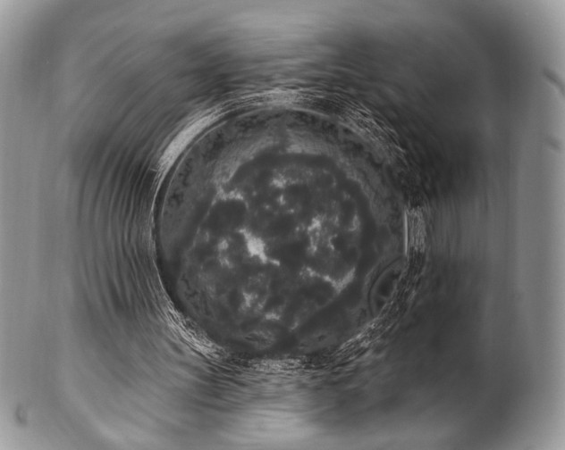 X0000102810147200808181231