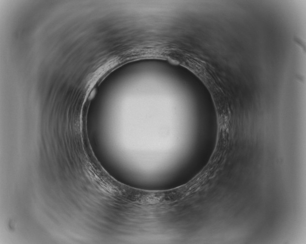 X0000102810148200808181231