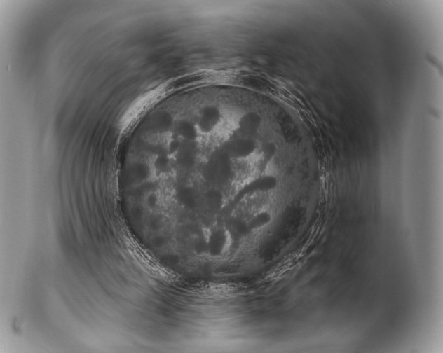 X0000102810149200808181231