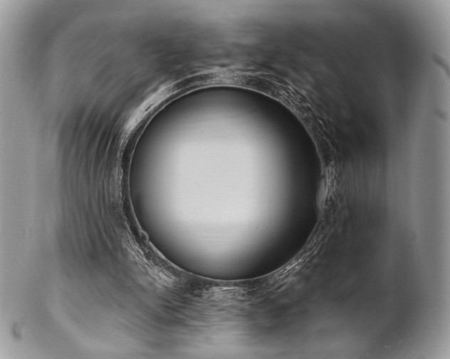 X0000102810150200808181231