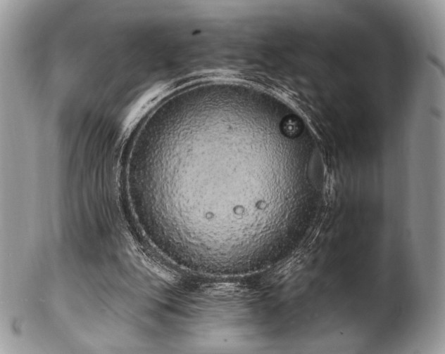 X0000102810151200808181231