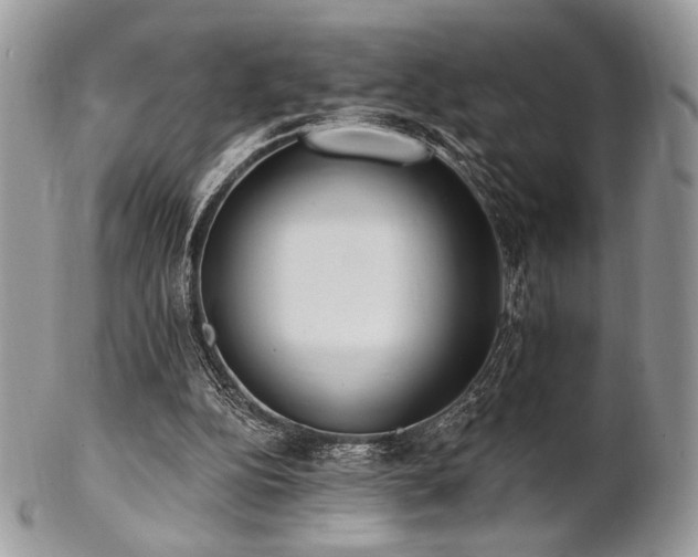 X0000102810152200808181231