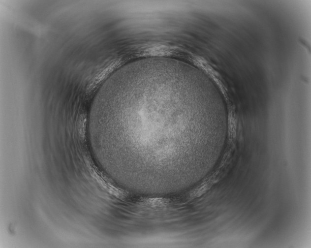 X0000102810153200808181231