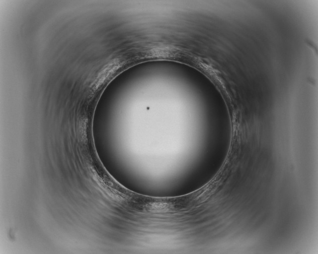 X0000102810154200808181231