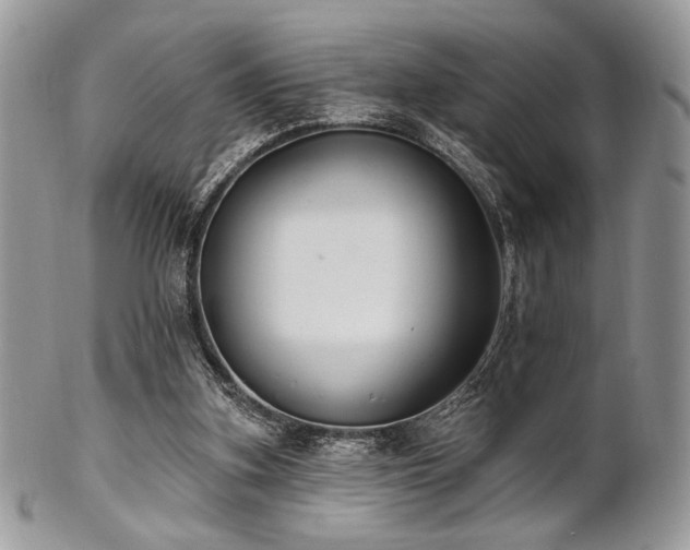 X0000102810155200808181231