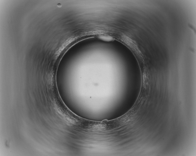 X0000102810156200808181231