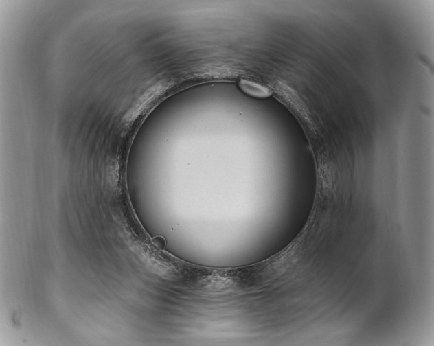 X0000102810159200808181231