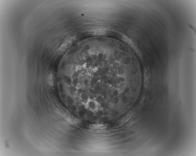 X0000102810161200808181231