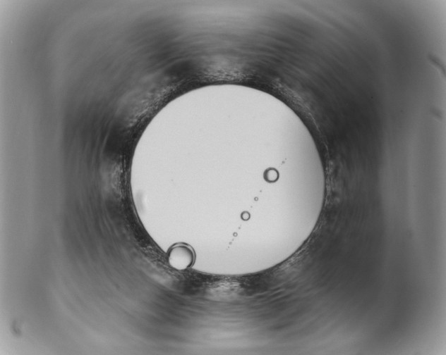 X0000102810162200808181231