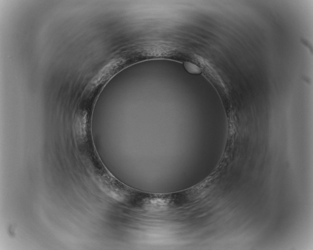 X0000102810163200808181231