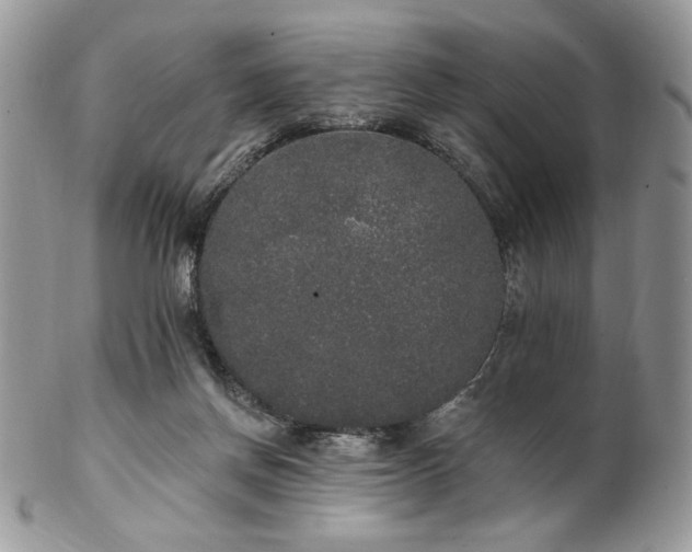 X0000102810166200808181231