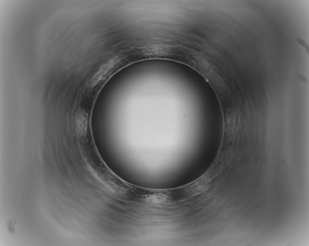 X0000102810168200808181231