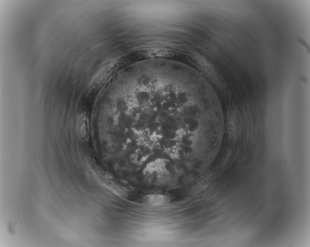 X0000102810169200808181231