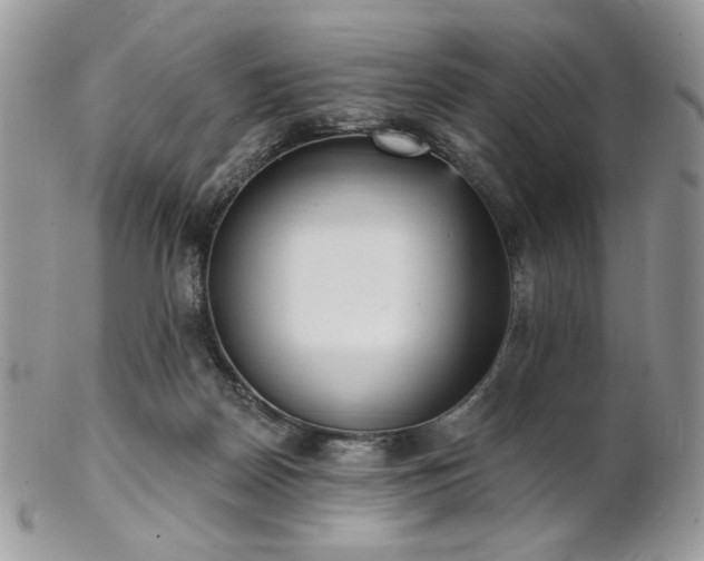 X0000102810170200808181231