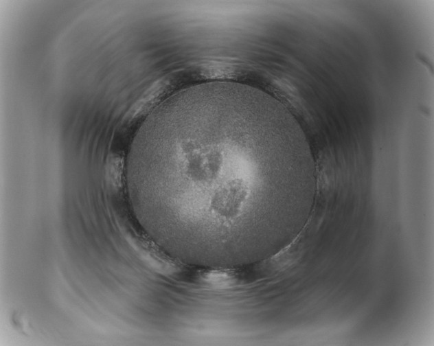 X0000102810171200808181231