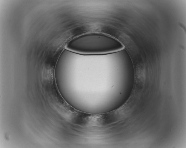 X0000102810172200808181231