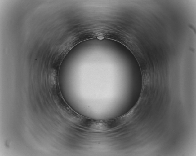 X0000102810174200808181231