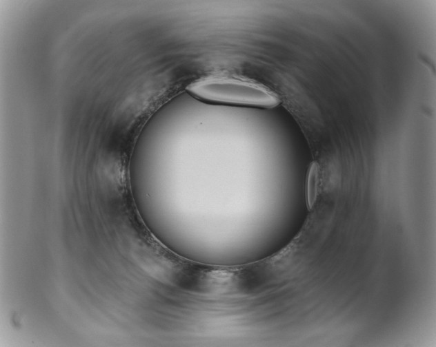 X0000102810176200808181231