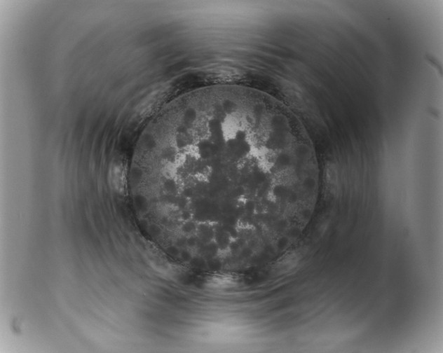 X0000102810177200808181231