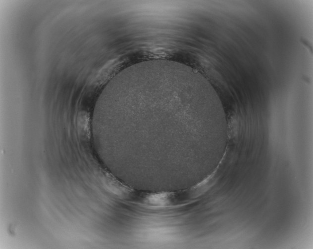 X0000102810178200808181231