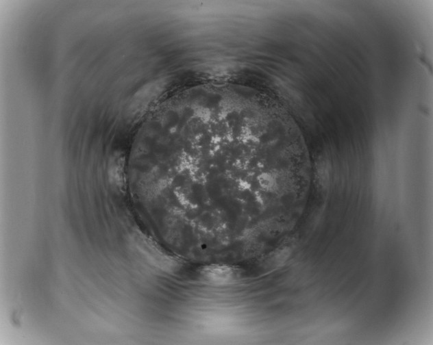 X0000102810181200808181231