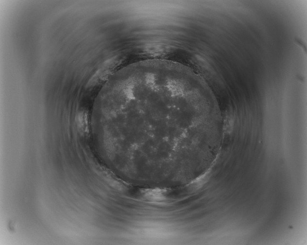 X0000102810182200808181231