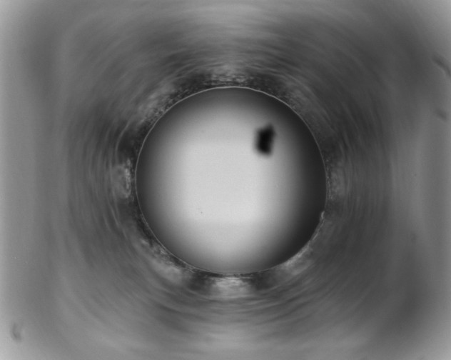 X0000102810183200808181231