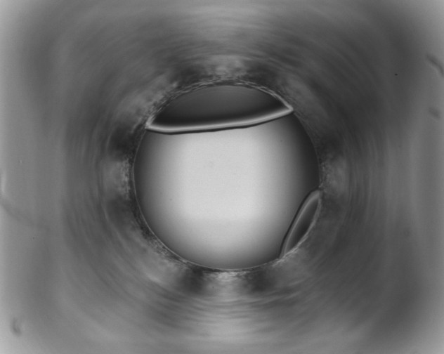 X0000102810184200808181231