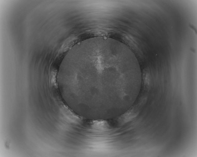 X0000102810185200808181231