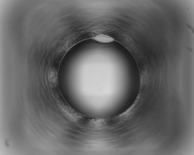 X0000102810186200808181231