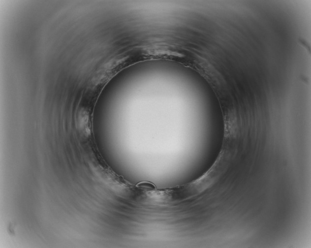 X0000102810187200808181231