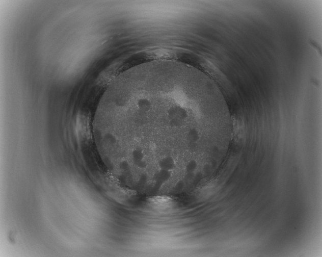 X0000102810189200808181231