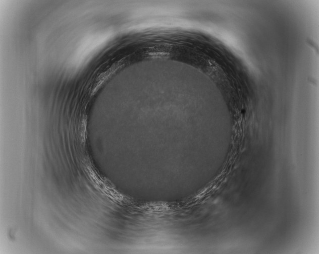 X0000102810194200808181231