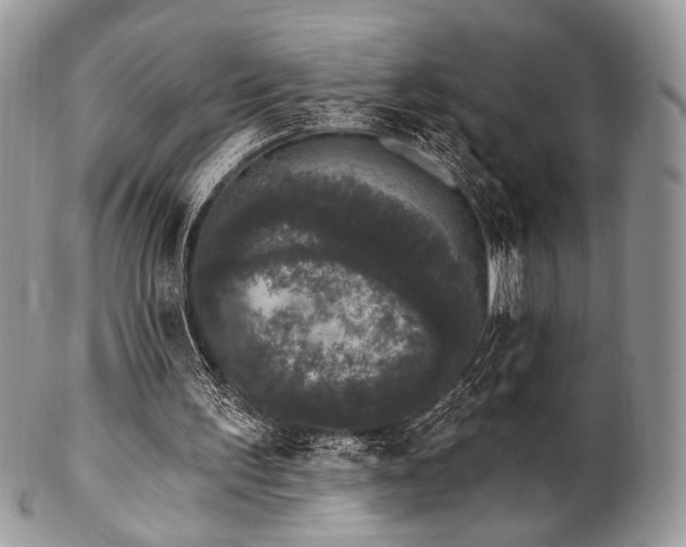 X0000102810195200808181231