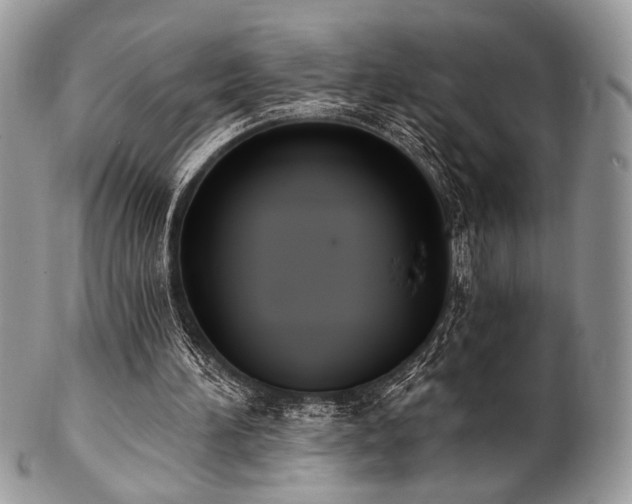 X0000102810196200808181231