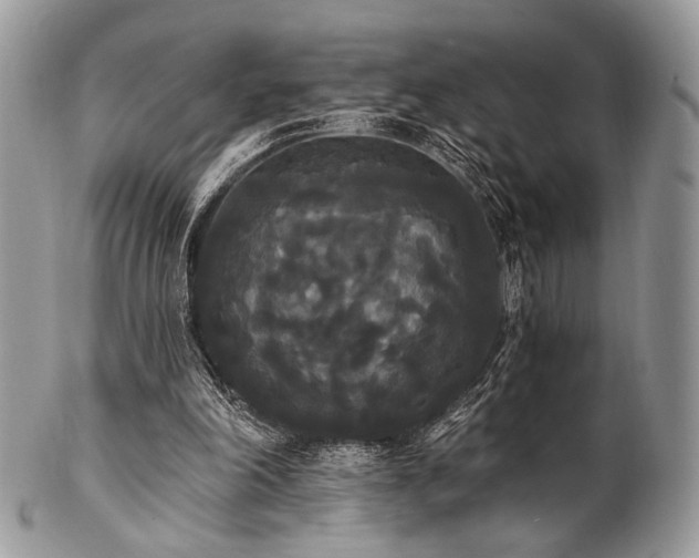 X0000102810198200808181231