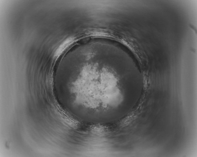 X0000102810199200808181231