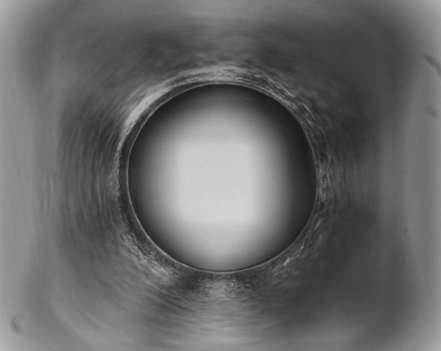 X0000102810200200808181231