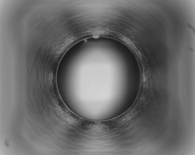 X0000102810201200808181231