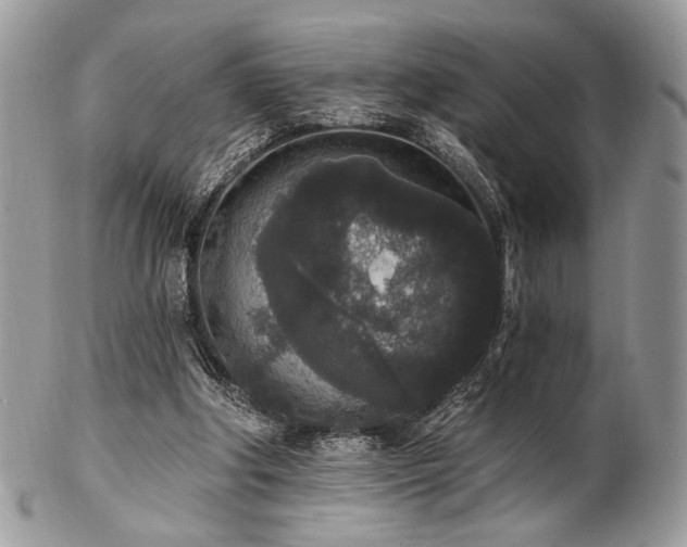 X0000102810202200808181231